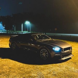 Meet your Posher, Max